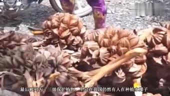 街边吃瓜小品,笑谈人间百态