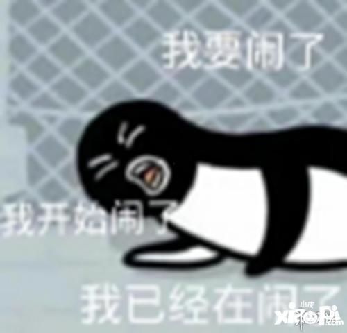 吃瓜打到头,揭秘“吃到头”背后的惊人真相