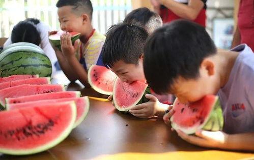 孩子吃瓜大赛,孩子吃瓜大赛欢乐上演