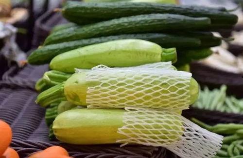 吃中药可以吃葵瓜么,食用搭配的注意事项