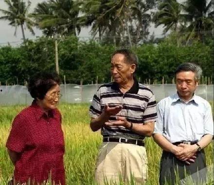 谢绝吃瓜,揭秘网络舆论背后的真相与反思