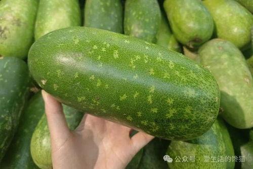 春天吃的什么瓜,探寻春天里的美味瓜果时光