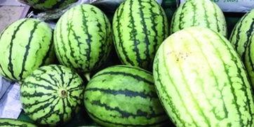 吃瓜群众快变绿,从围观到变绿的奇妙转变