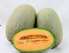 哈密瓜和花生可以吃吗,探索美味与营养的完美结合