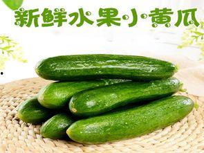 小R喜欢吃瓜,甜蜜瓜香，尽享清凉时光