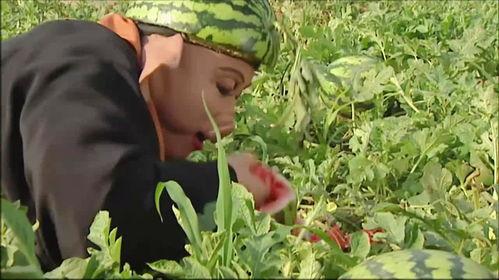 茅老师吃瓜视频