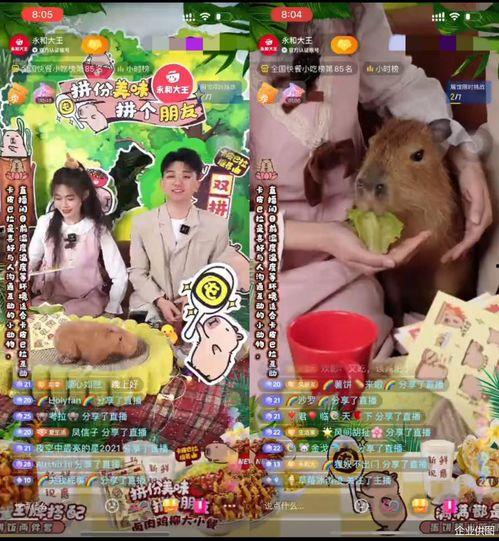 吃瓜大王抖音,揭秘娱乐圈幕后故事，带你领略明星真实生活