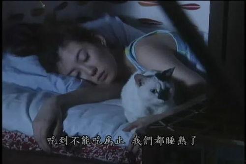 贞贞吃瓜故事背景,揭秘古代宫廷的宫廷八卦风云