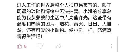 豆瓣吃瓜组是什么,网络舆论场中的“瓜田”风云