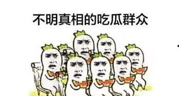 吃瓜群众苏某某,揭秘娱乐圈幕后故事