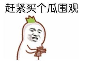 吃瓜群众苏某某,揭秘娱乐圈幕后故事