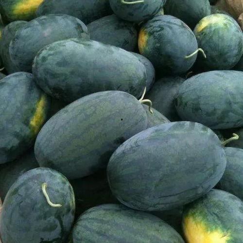 蒙主吃瓜合集,揭秘娱乐圈那些不为人知的幕后故事