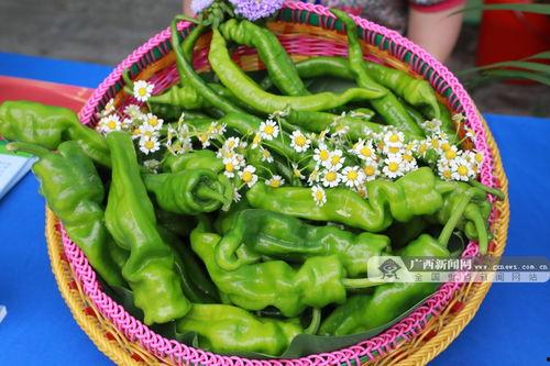 广西钢铁吃瓜,吃瓜群众见证行业巨变”