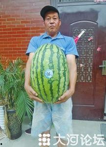 51国产吃瓜今日大瓜,今日大瓜盘点，揭秘娱乐圈最新热点