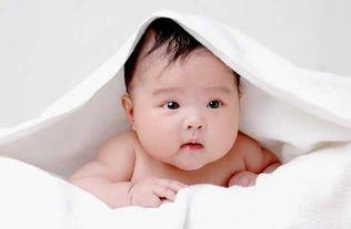 宝宝吃瓜的照片