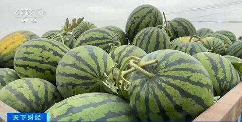 30000万粉丝吃瓜,揭秘娱乐圈最新热点事件