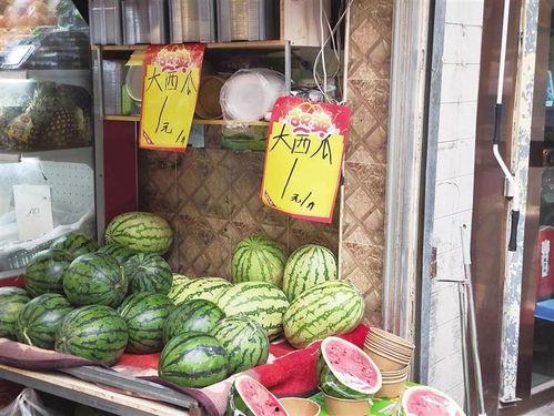 吃瓜专卖店,品味夏日清凉，畅享瓜果盛宴