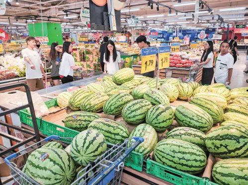 吃瓜专卖店,品味夏日清凉，畅享瓜果盛宴