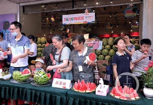 吃瓜专卖店,品味夏日清凉，畅享瓜果盛宴