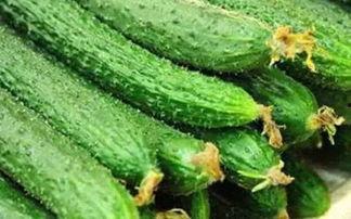 新鲜瓜怎么吃最好