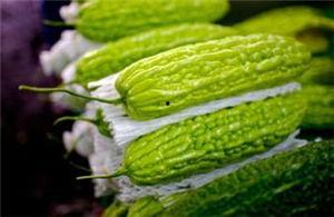 瓷瓜孕妇可以吃吗,安全与营养两不误