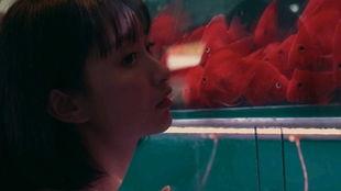 吃瓜少女阿狸,揭秘娱乐圈背后的故事