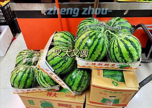 郑州吃瓜实时,街头巷尾热议不断，美食狂欢席卷全城