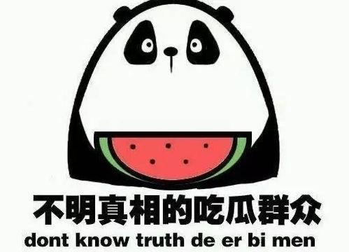 吃瓜留言,揭秘娱乐圈最新八卦事件