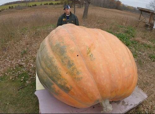 吃瓜有吐皮,品味生活百态