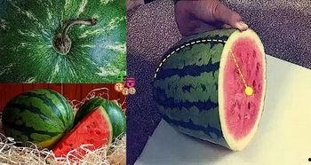 吃瓜有吐皮,品味生活百态