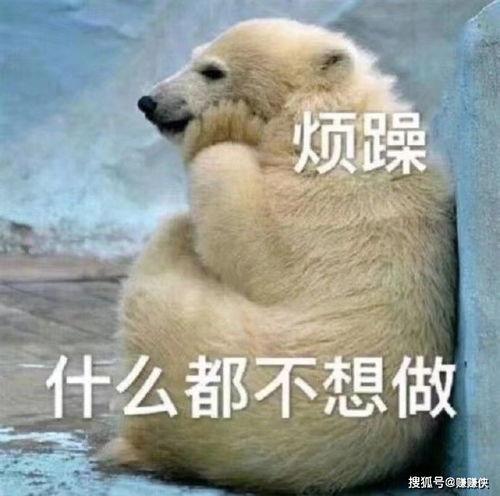 吃瓜群众感动吗图片,吃瓜群众感动瞬间，共绘人间温情画卷