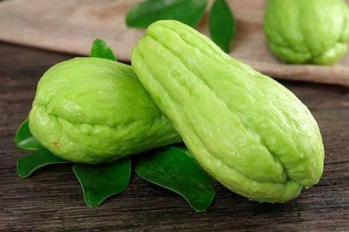 吐耳瓜尖尖可以吃吗,揭秘能否食用的奥秘