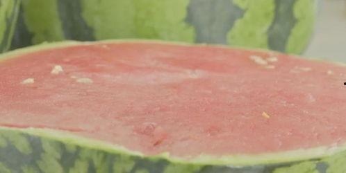 吃瓜有福利吗,吃瓜也能有福利？揭秘瓜界惊喜大放送！